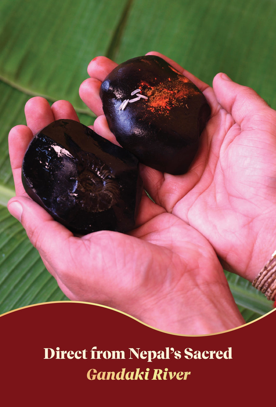 Sudarshan Shaligram by Pujashree | Sanatana Journey
