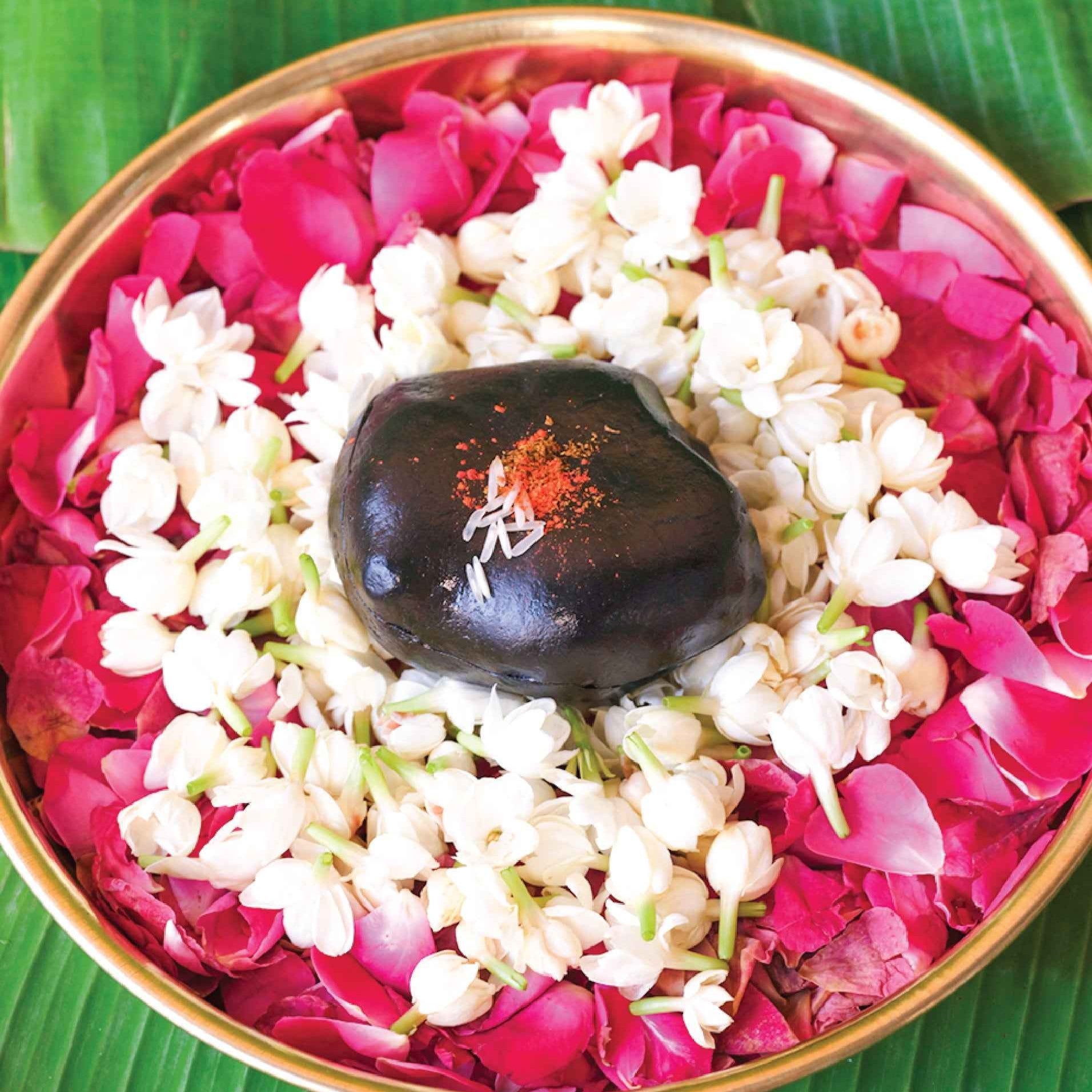 Sudarshan Shaligram by Pujashree | Sanatana Journey